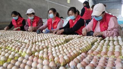 搭乘'電商號'，尉氏農副產品駛向鄉村振興'站臺'